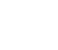 Passport Nissan