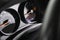 2017 Jeep Patriot Latitude