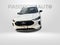 2024 Ford Escape Hybrid ST-Line